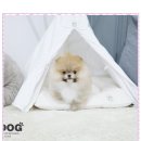 협진농장 이미지