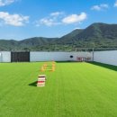 스테이 732 이미지