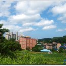 용당1리 Daum카페