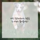 화성한방병원 이미지