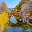 동리로R 이미지