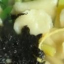 삼오칼국수
