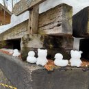 주식회사 픽스 | 삿포로 3월 비에이 흰그림자투어 내돈내산 후기