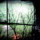 포토갤러리 이미지