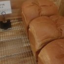 아울브레드카페