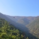 탑산농장2 이미지