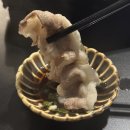 아프로(appro)