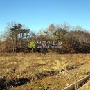당진시노인요양원 이미지