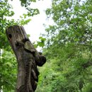 가산리 406-2 마을진입로 | 청주 구룡산 장승공원 산행 (2021.9.2)