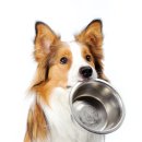 사료할인매장 이미지