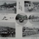 진목초등학교 이미지