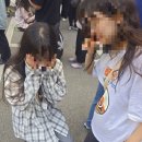케익파라 | 성심당 멜론시루 멜론1통케익 오픈런 후기 요일별 한정수량 판매기간
