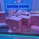 캐치팡 프리미엄 구디점 네이버블로그
