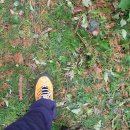 제주평화음악회 이미지