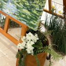 THE SPRING | Touch the SPRING along the way - 현대백화점 목동점 팝업 후기 (by 아뜰리에 드 제이) : 주네시 기획...