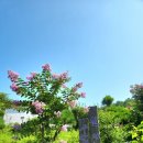 산아래물가에서 이미지