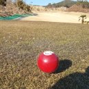 로얄호스텔 이미지