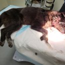 현대로1029번길 이미지