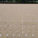 걸포초등학교 이미지