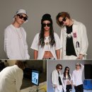 지코프로젝트