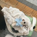 플래닛16 광안 | 🗼[여자 혼자 도쿄 여행] EP.01 내가 진짜 도쿄에 오다니