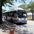동삼1동-9 이미지