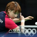 스케치독 이미지