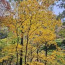 우의중국식품 | 251018(토) 설악산 단풍 산행 : 십이선녀탕 복숭아탕