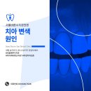 서울바른수치과의원 이미지