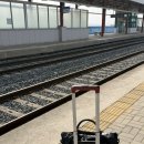 클래식 기타(야) | LV4 : Leap to Vector 후기 = 김성규는 신이에요 ..