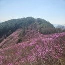 천주산 만남의 광장 | 진달래 산행 창원 천주산