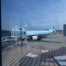 805 | 중국 톈진여행 대한항공 KE805 탑승후기(기내식,출입국신고서작성)