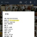 우리동네큰닭