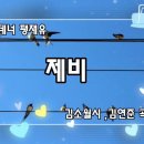서울 창공에서 곡예쇼를 하는 ＜제비 ＞ 이미지