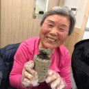 아산시치매안심센터 이미지
