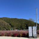 동국이네 | 동국이네 가을정원｜양평 핑크뮬리 낭낭한 맑은술도가 돌아기랑 방문 후기