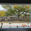 장로회신학대학교 목회전문대학원 이미지