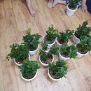 용산2리경로당 이미지