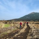 동거목장 이미지