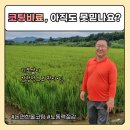 영호한우농장 네이버블로그