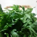 복둥이농장 이미지