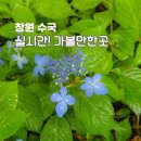 창원수목원관리동화장실 | 경남 수국 명소 창원 6월 가볼만한곳