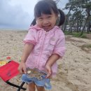 캠퍼캠핑 - 울주군 반구대로 669 | 캠퍼캠핑