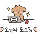 비뉴필라테스 - 원주시 양지뜰3길 19-1 | 비뉴필라테스