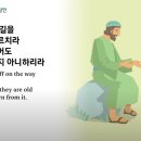 초달