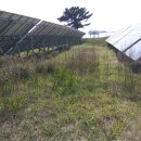 원성발전 이미지