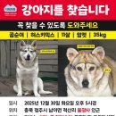 지해농장 이미지