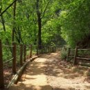 물깨말구구리길(봄내길 2코스) 이미지