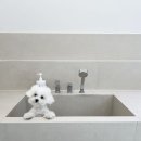 그루밍 까꿍 이미지