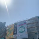 평창청옥산천년초 | <2021 K웰니스 푸드&투어리즘 페어 다녀온 후기!>-4/21 2일차